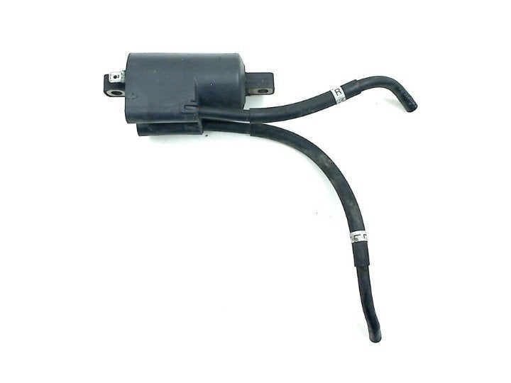 BOBINE D'ALLUMAGE Yamaha XV 1700 (01-1970/-) (129700-4480), Motos, Dhr. S. di Majo, Utilisé, Info@cama-motorparts.nl, P.J. Troelstraweg 8 8
3144 CX  MAASSLUIS, NL