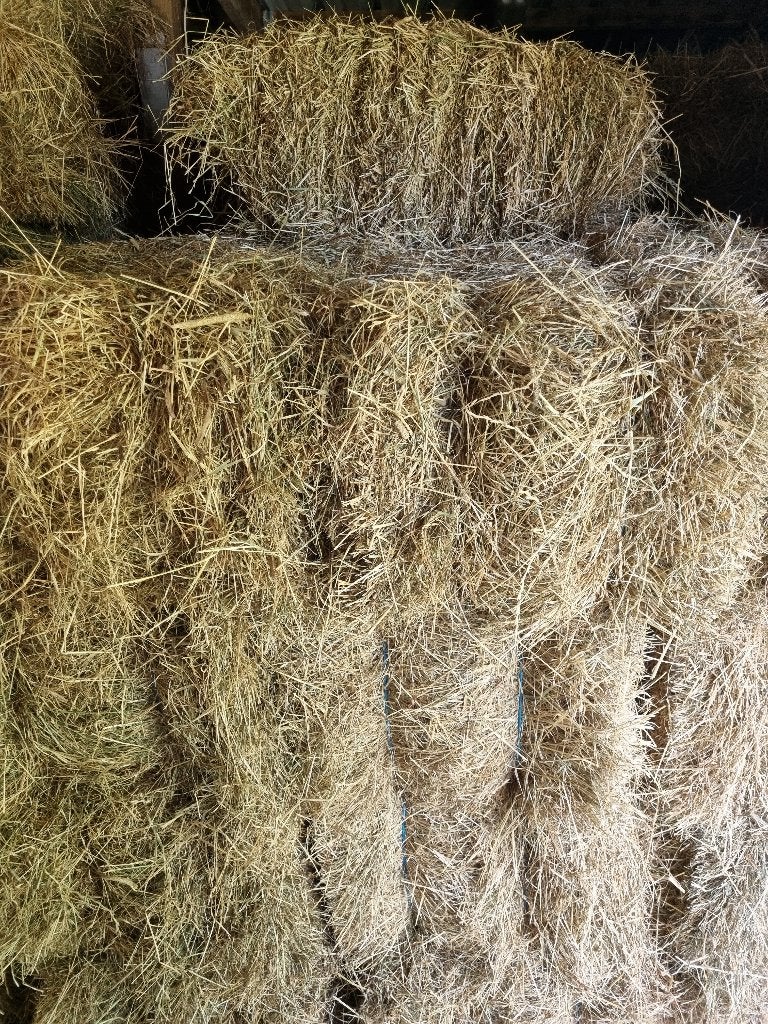 Kleine pakken hooi te koop, Dieren en Toebehoren, Dierenvoeding, Ophalen, Overige soorten