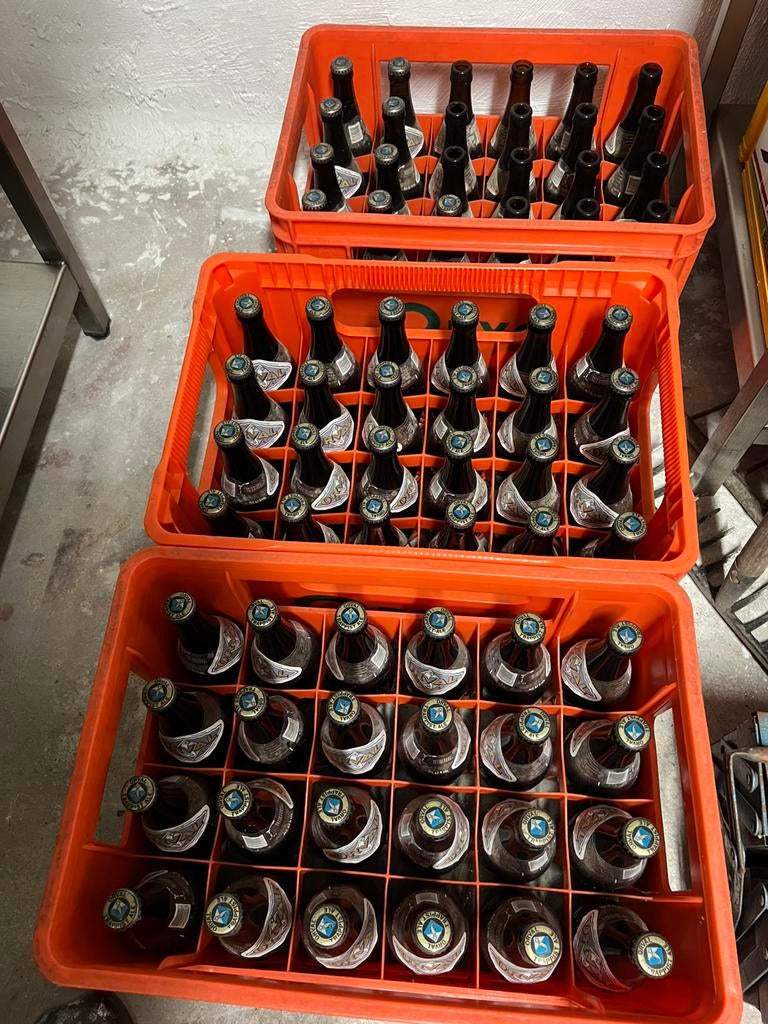 1 bac de bière trappiste Orval vieillie date production 2021, Enlèvement, Neuf, Bouteille(s), Oranjeboom