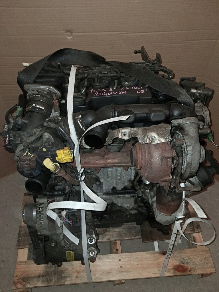 Moteur G8DB Complet FORD FOCUS, Envoi, Utilisé, Daihatsu