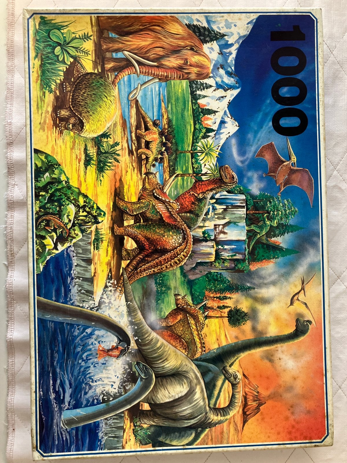 Puzzels 500 -1000 stukjes, Ophalen, Gebruikt