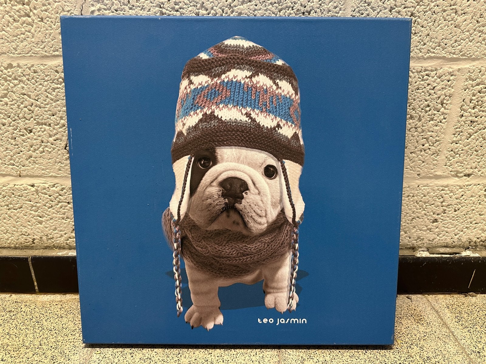 Teo Jasmin hond schilderij, Antiek en Kunst, Ophalen, Wanddecoratie, 50 cm, Overige materialen
