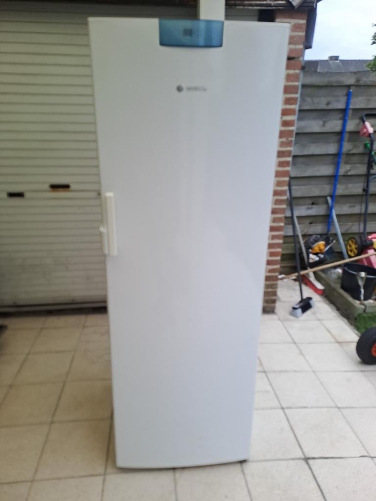 Diepvrieskast, Elektronische apparatuur, Vriezers en Diepvrieskisten, Ophalen of Verzenden