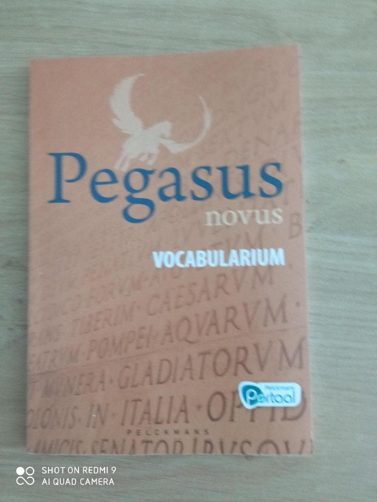 Latijn - Pegasus Novus Vocabularium, Livres, Livres scolaires, Enlèvement, Comme neuf, Latin