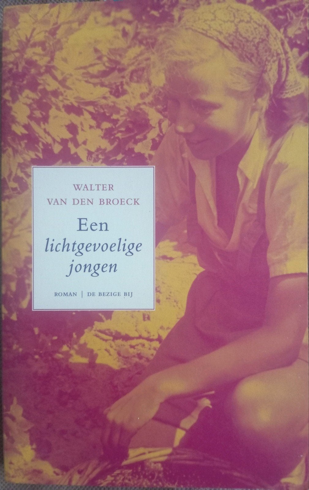 Een lichtgevoelige jongen - Walter Van Den Broeck, Enlèvement ou Envoi