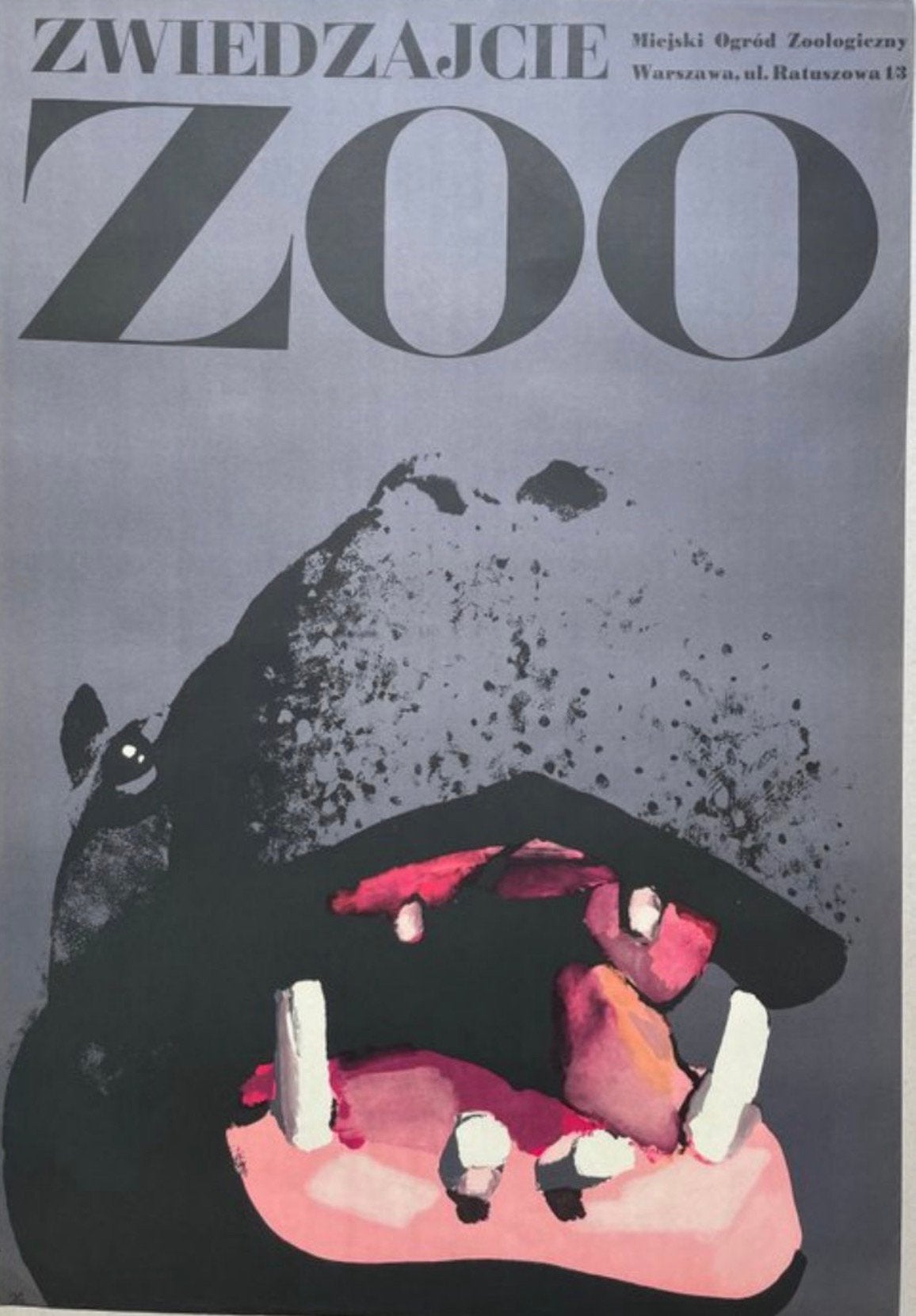 Originele affiche Zoo Zwiedzajcie, Ophalen, Zo goed als nieuw