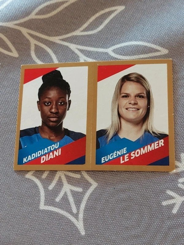 Panini/sticker : Team France Féminin 2018, Collections, Enlèvement ou Envoi, Neuf, Affiche, Image ou Autocollant