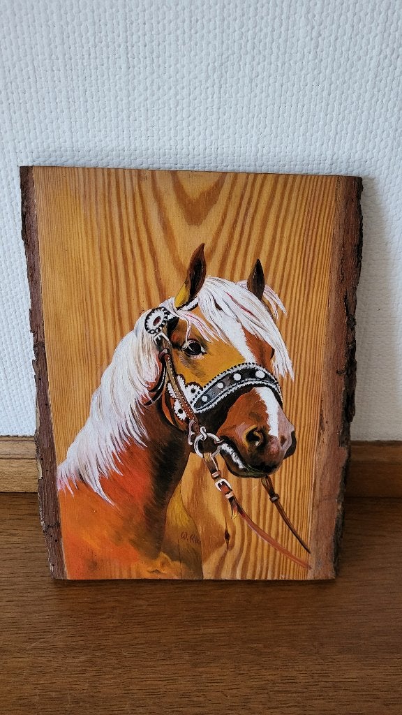 Paardekop schilderij, Antiek en Kunst, Ophalen of Verzenden, Gesigneerd, Olieverf, Dieren