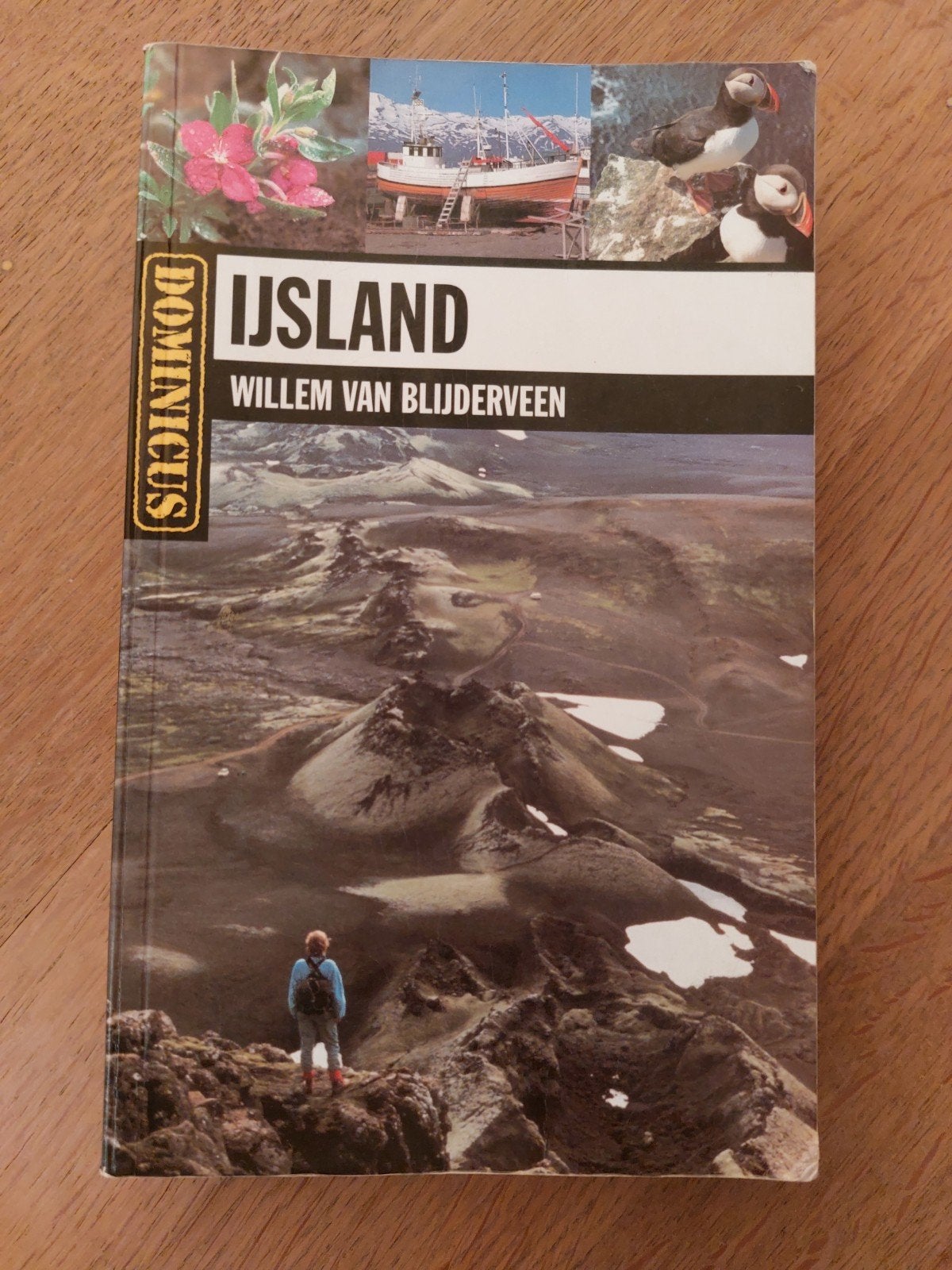Reisgids  Ijsland, Boeken, Ophalen of Verzenden