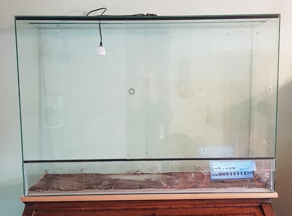 Terrarium, Enlèvement, Utilisé