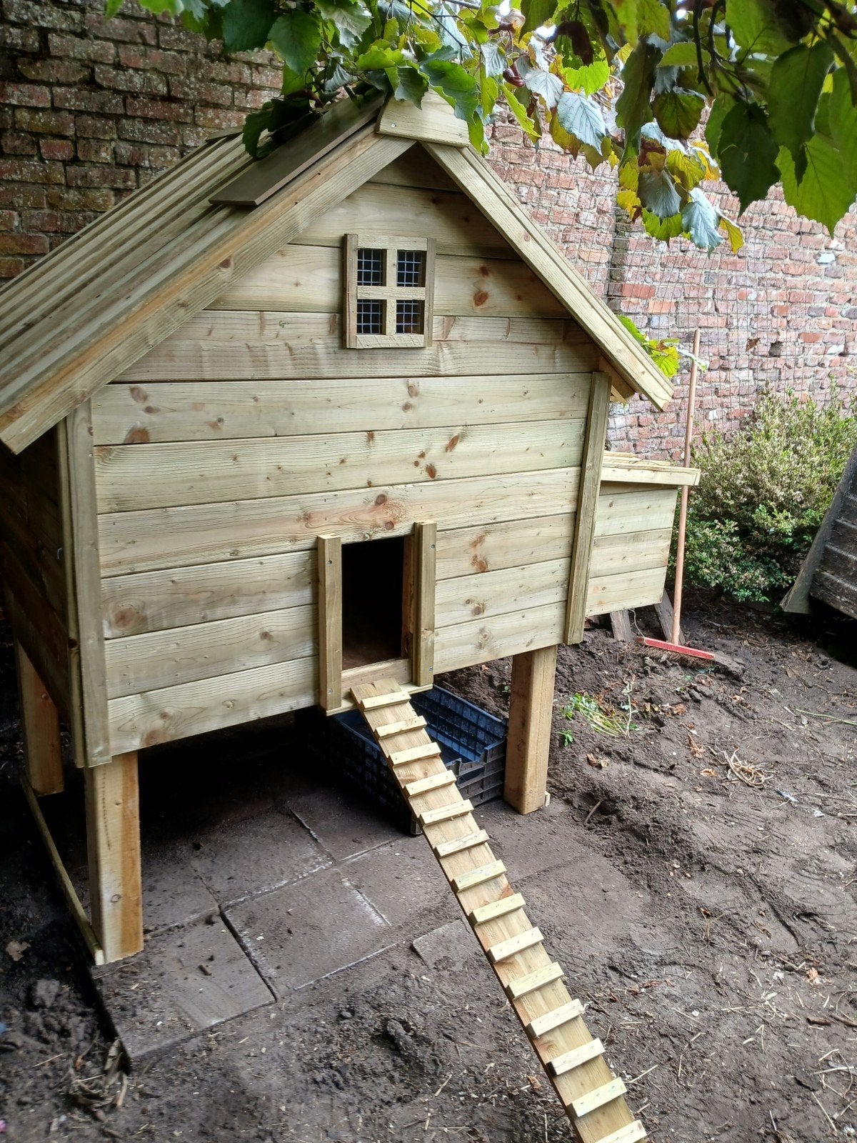 mooie stevige kippen hokken, Dieren en Toebehoren, Ophalen