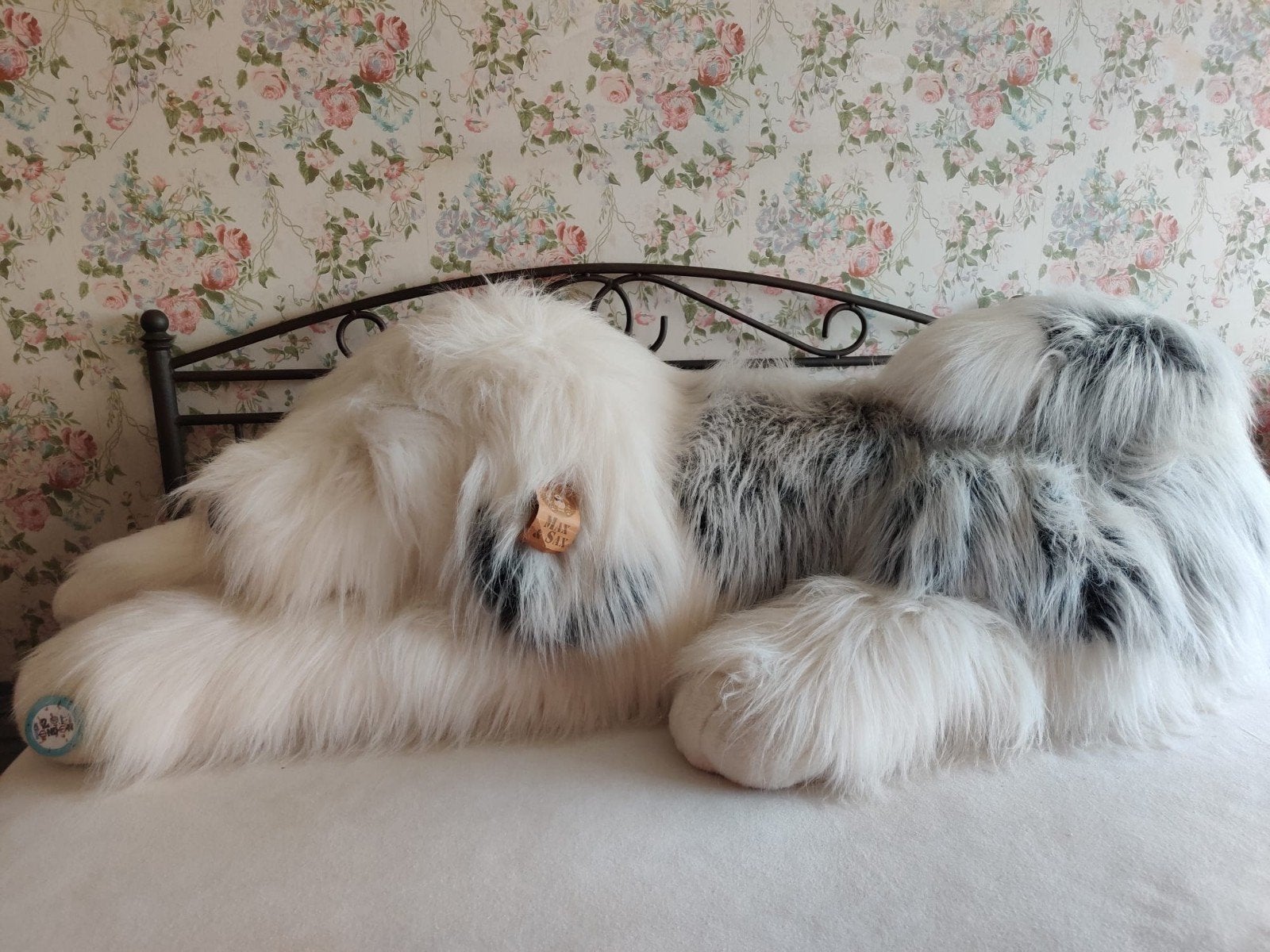 Grote honden knuffel, Ophalen