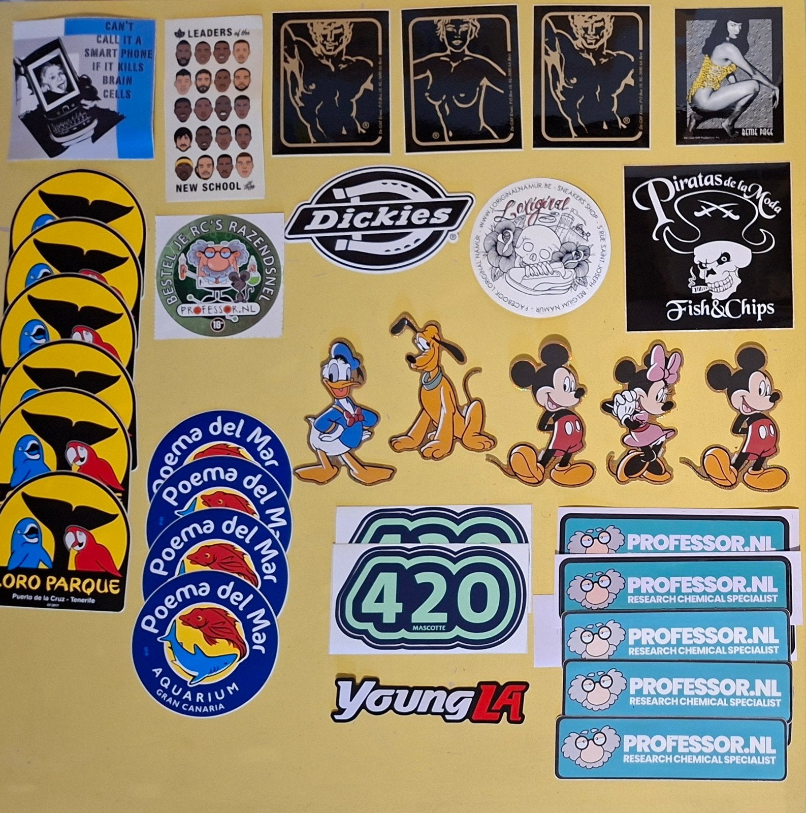 VERZAMELING STICKERS TE KOOP!, Enlèvement ou Envoi, Snoopy, Comme neuf, Image, Affiche ou Autocollant