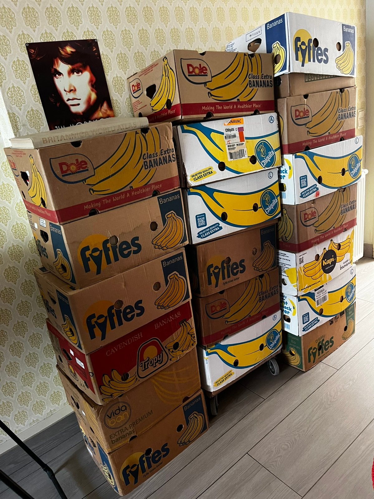 Collection de livres, 17 à 18 boîtes, Livres, Enlèvement, Utilisé