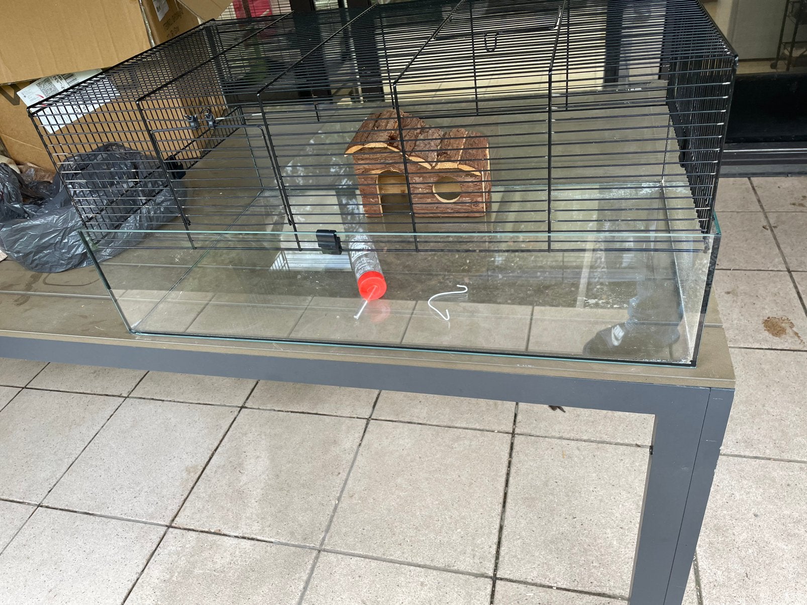 Te koop glazen kooi voor kleine dieren im goed staat, Kooi, Zo goed als nieuw, Hamster, 75 tot 110 cm