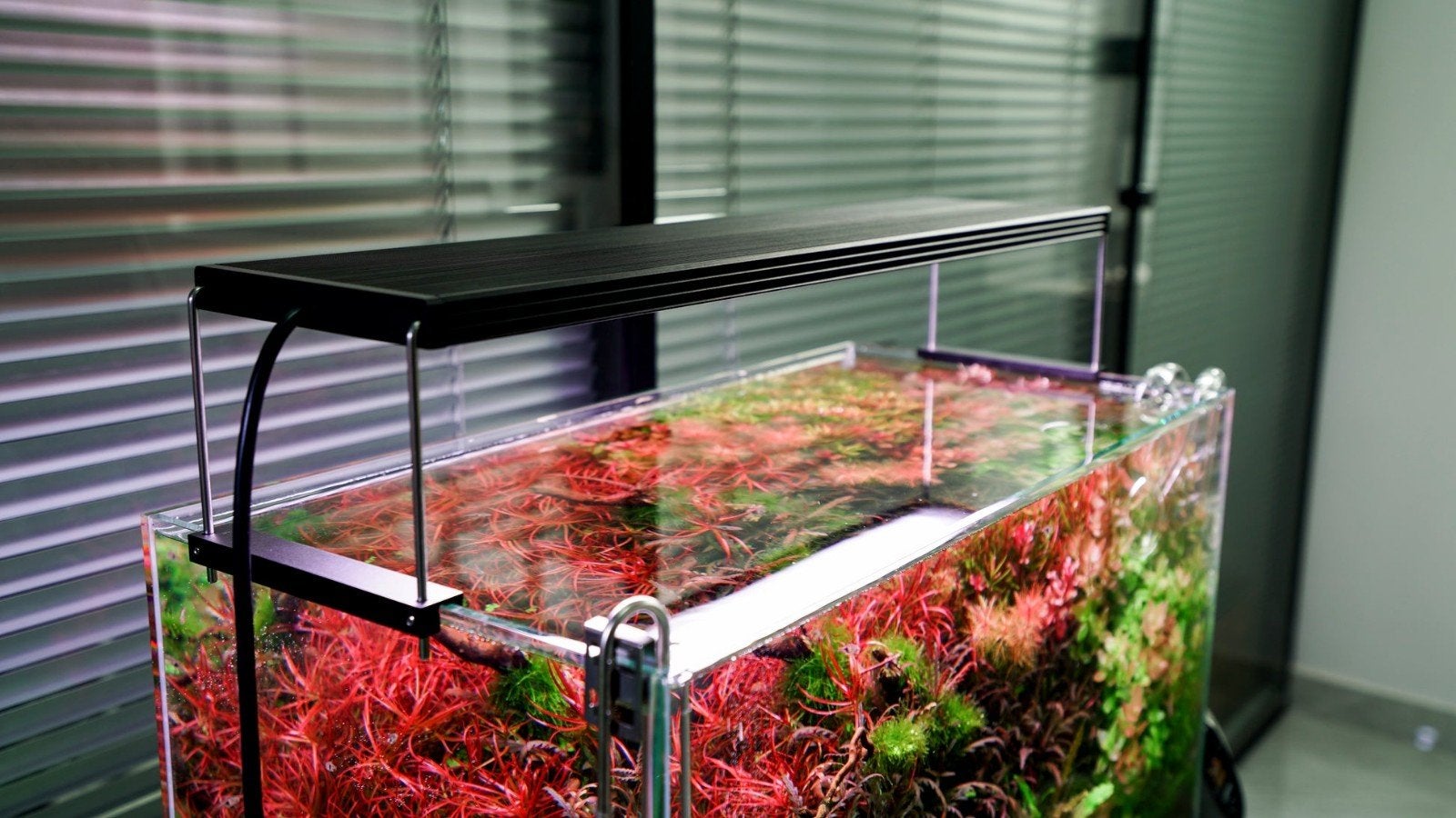 Rampe LED aquarium Chihiros WRGB 2, Animaux & Accessoires, Enlèvement, Chihiros
