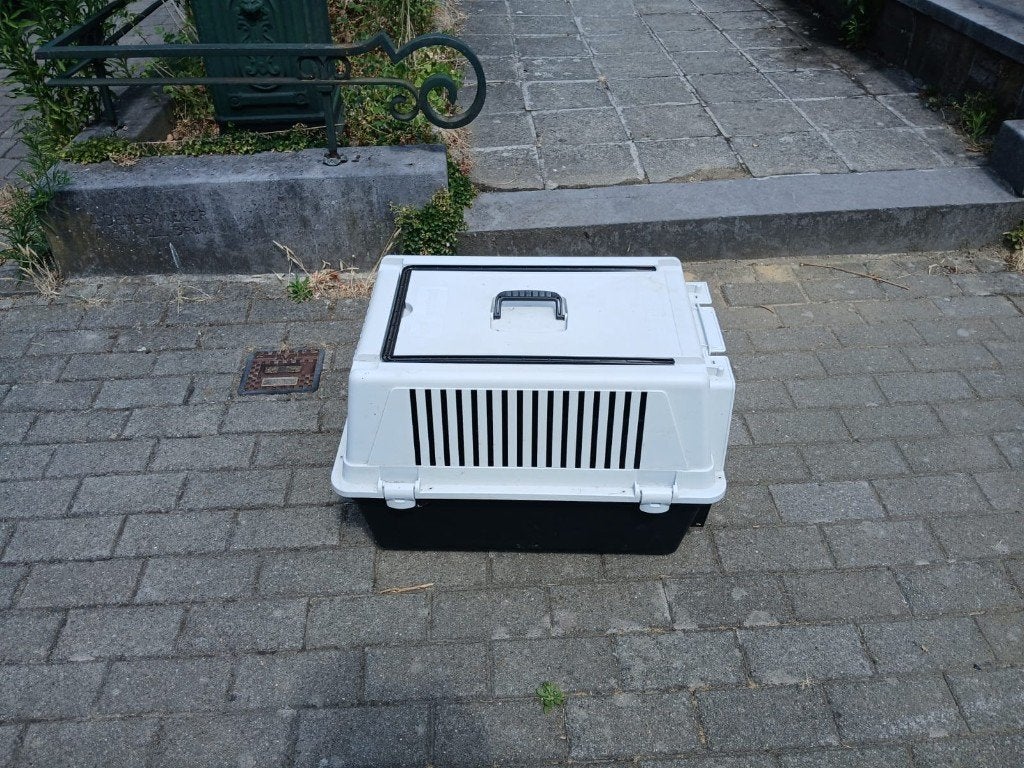 Cage transport chats et chiens de petite taille, Animaux & Accessoires, Enlèvement, Comme neuf