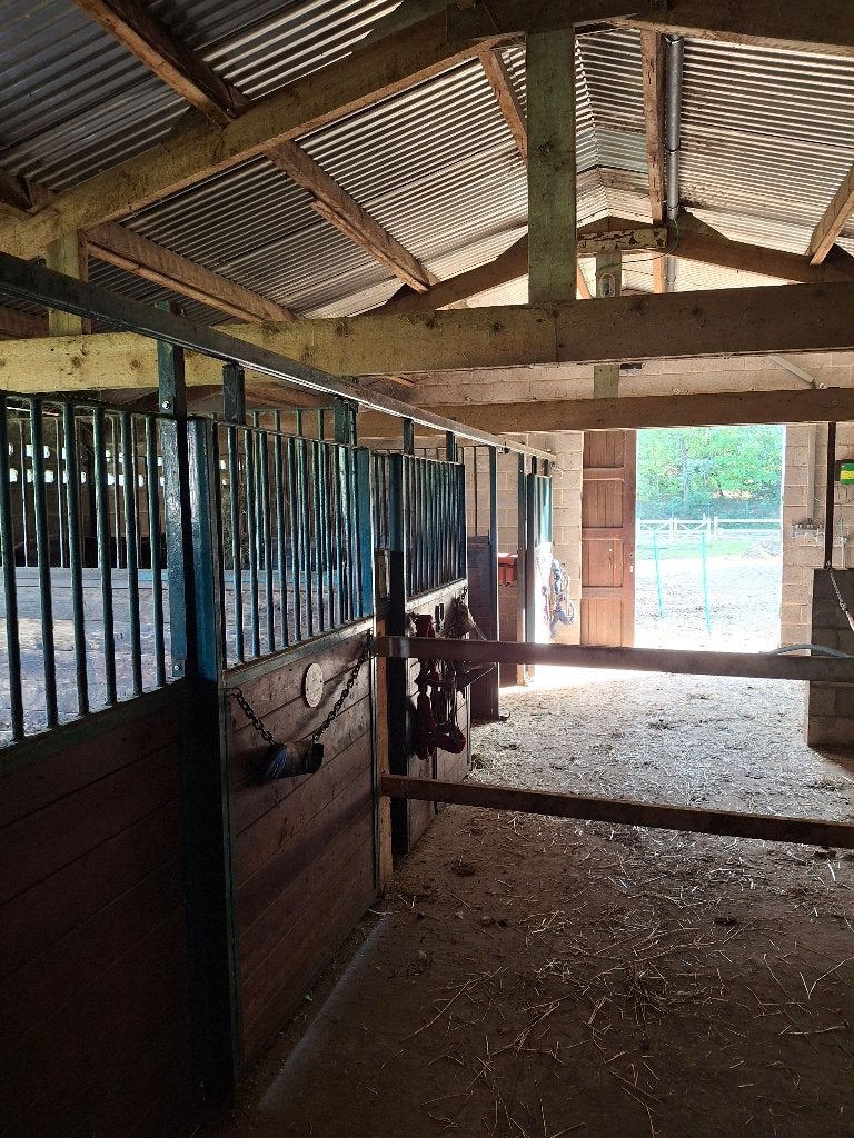 Paarden boxen, Dieren en Toebehoren