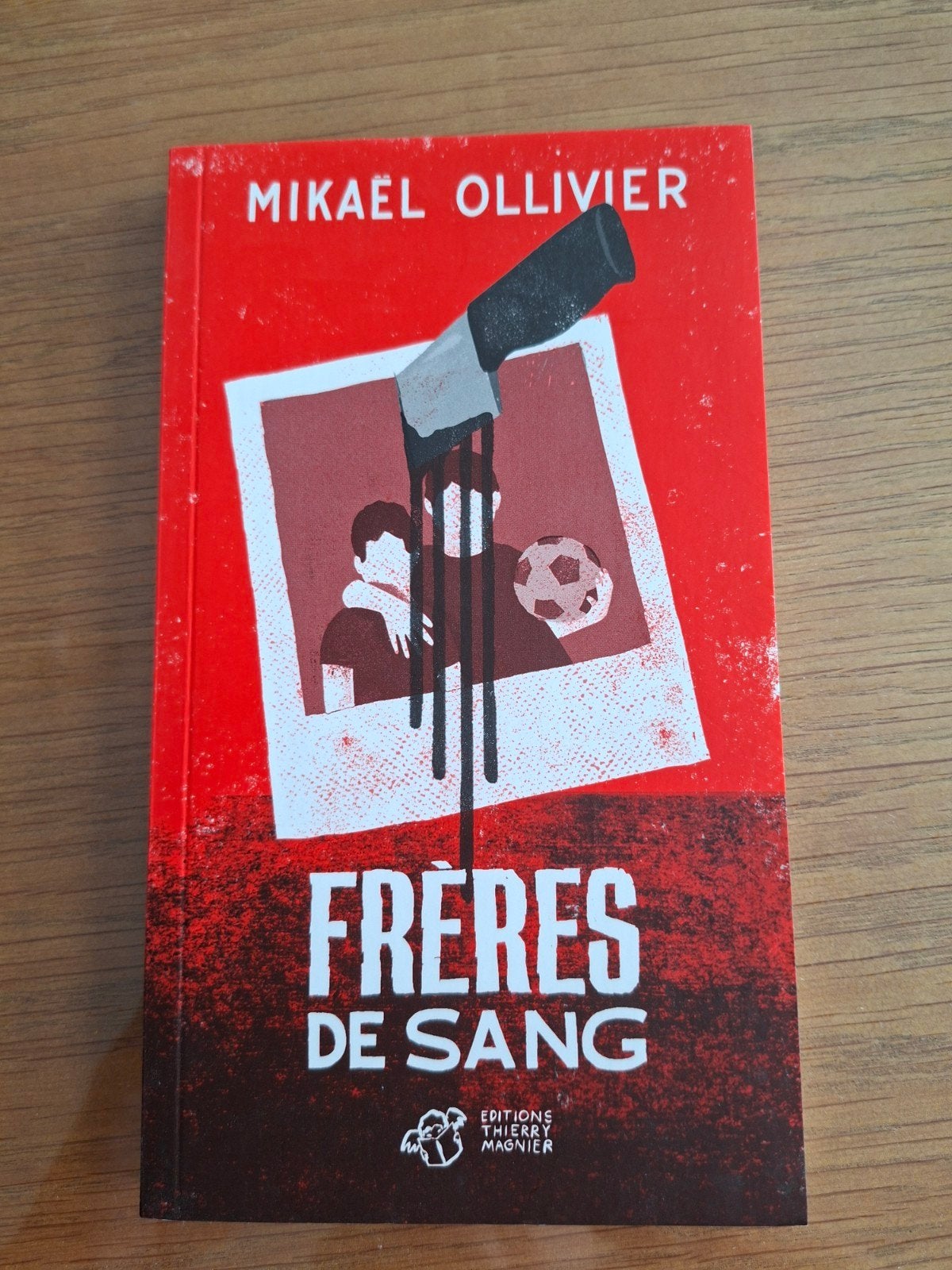 Livre pour jeune ado Frères de sang, Fiction, Utilisé, Enlèvement, Mikaël Ollivier
