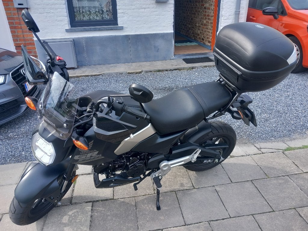 Moto Honda MSX 125 de 2025, Motos, Motos | Honda, Particulier