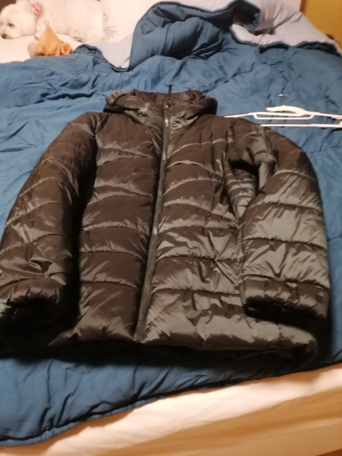 vest te koop, Vêtements | Hommes, Vestes | Hiver, Enlèvement, Taille 48/50 (M)