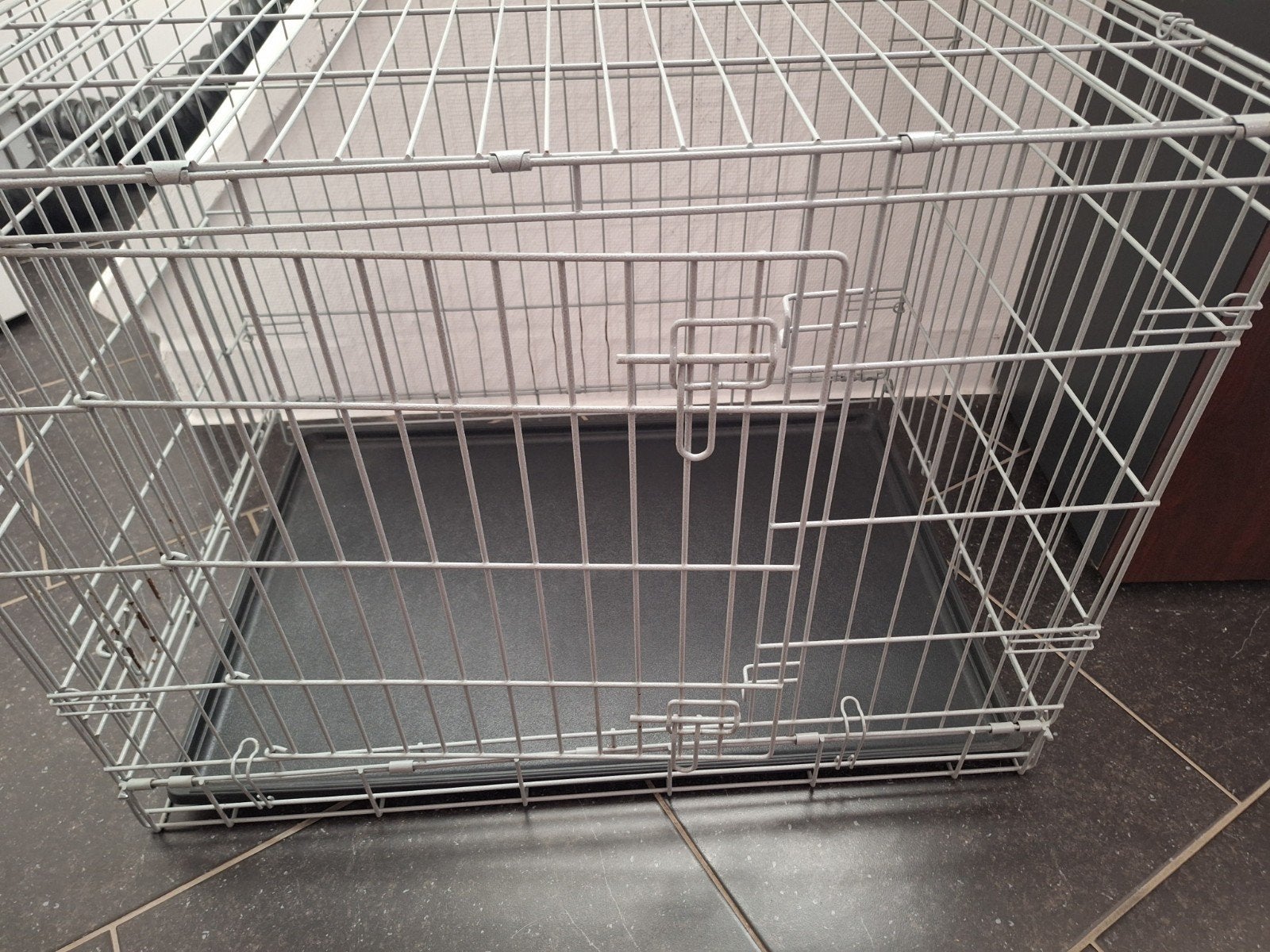 Grande cage chien, Enlèvement