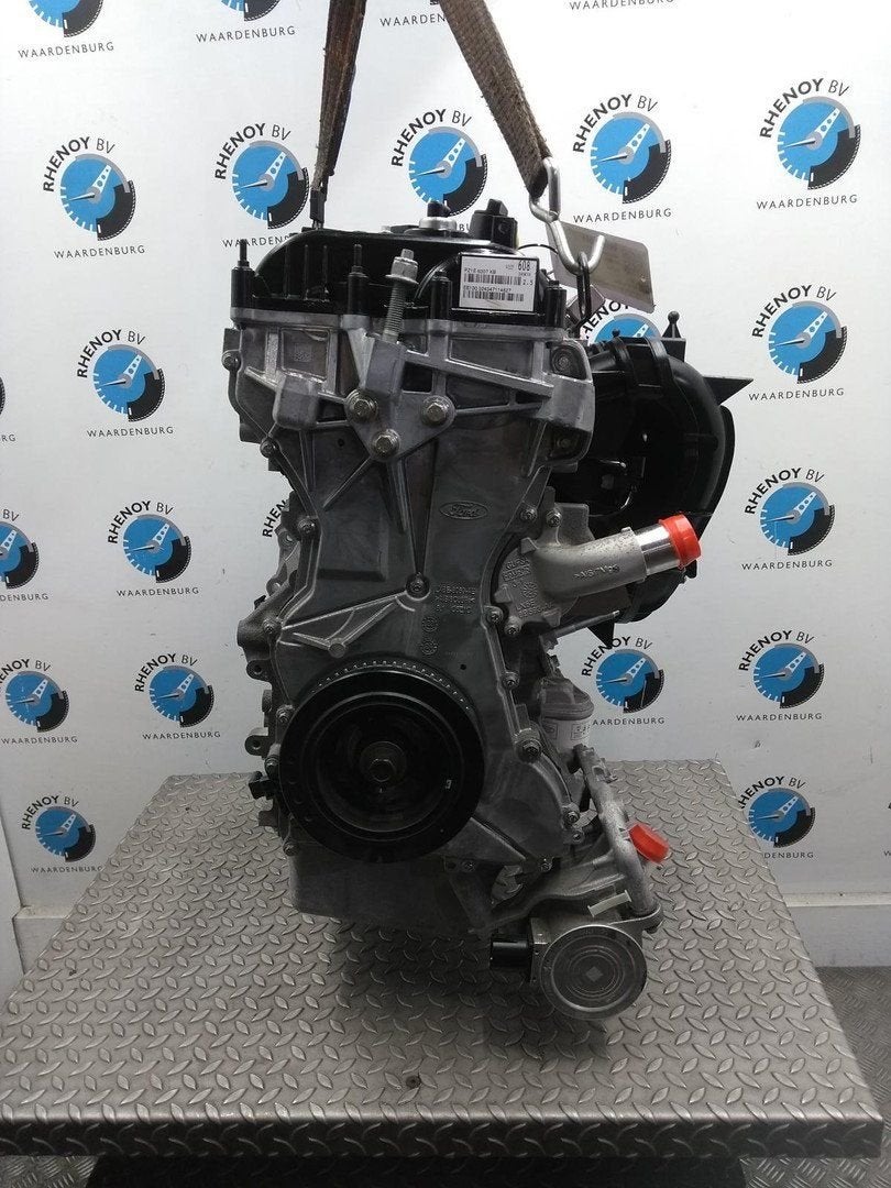 FORD KUGA ACTIVE MOTOR 2025, Ophalen of Verzenden, Gebruikt, ARN erkend