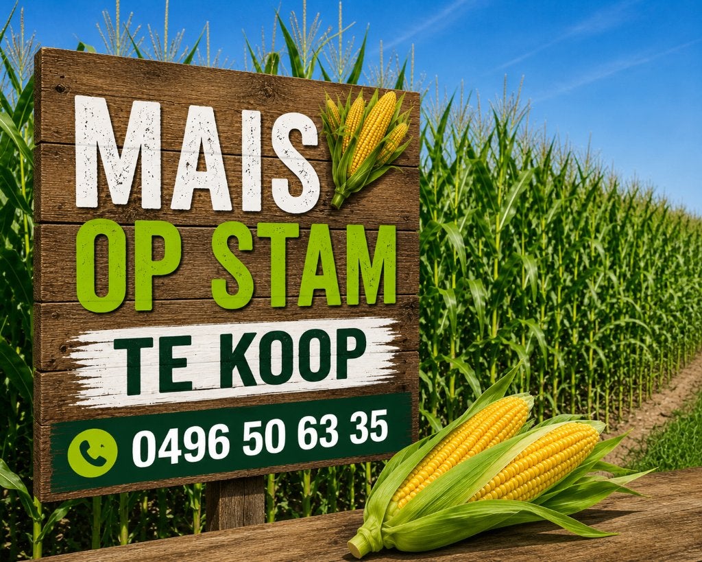 Mais op stam, Zakelijke goederen, Landbouw | Veevoer, Ophalen