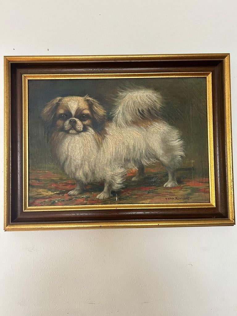 Schildery hond, Antiek en Kunst, Ophalen