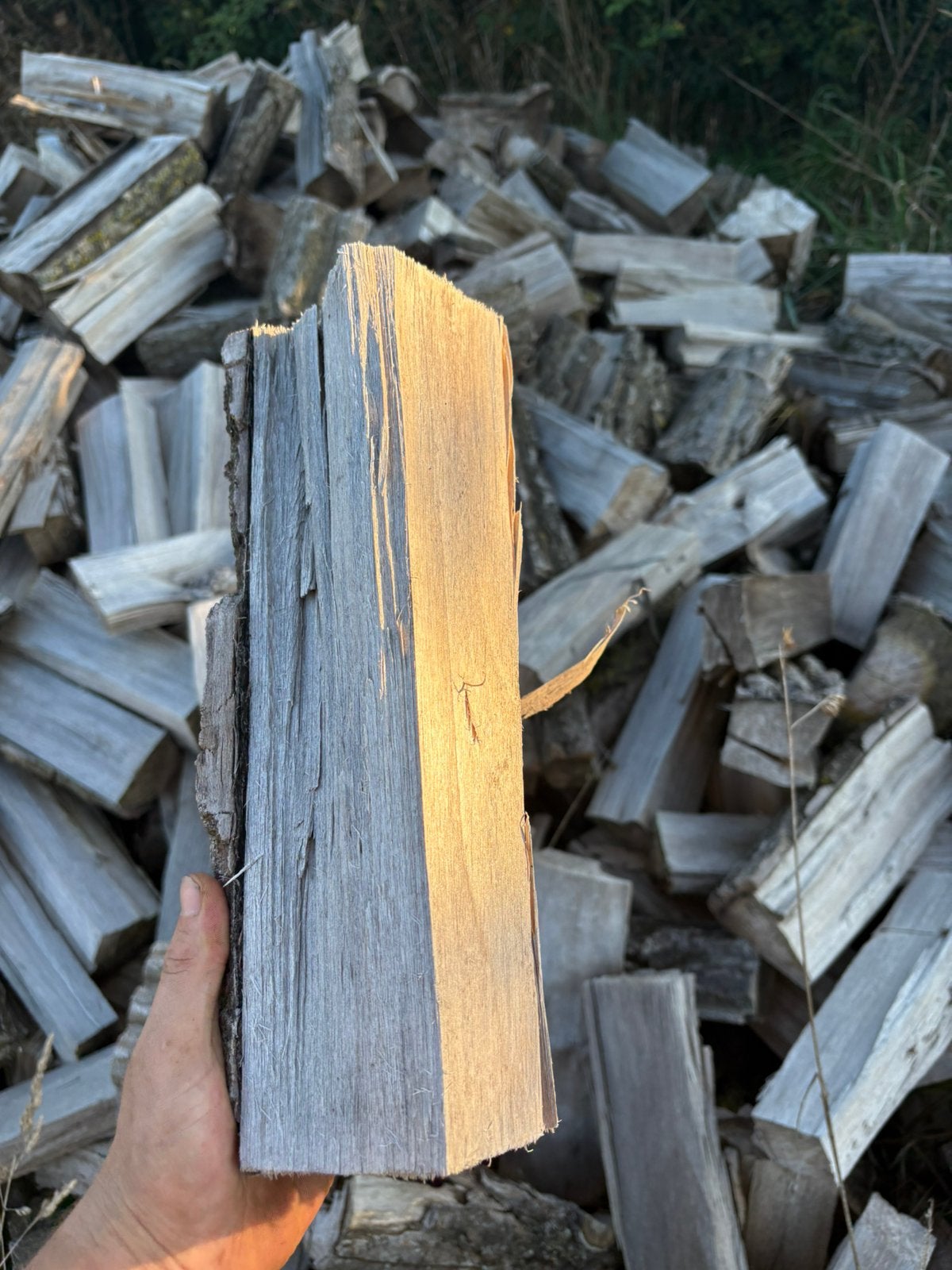 Brandhout populier droog 5cuub, 3 à 6 m³, Envoi, Autres essences de bois, Bûches
