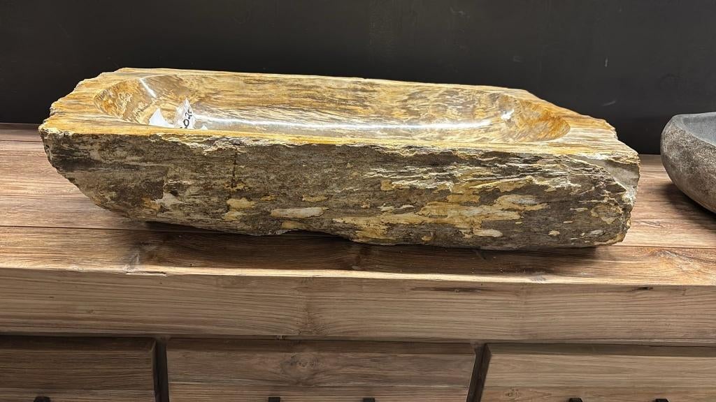 fossiele wasbak (versteend hout, Collections, Minéraux & Fossiles, Fossile, Enlèvement ou Envoi