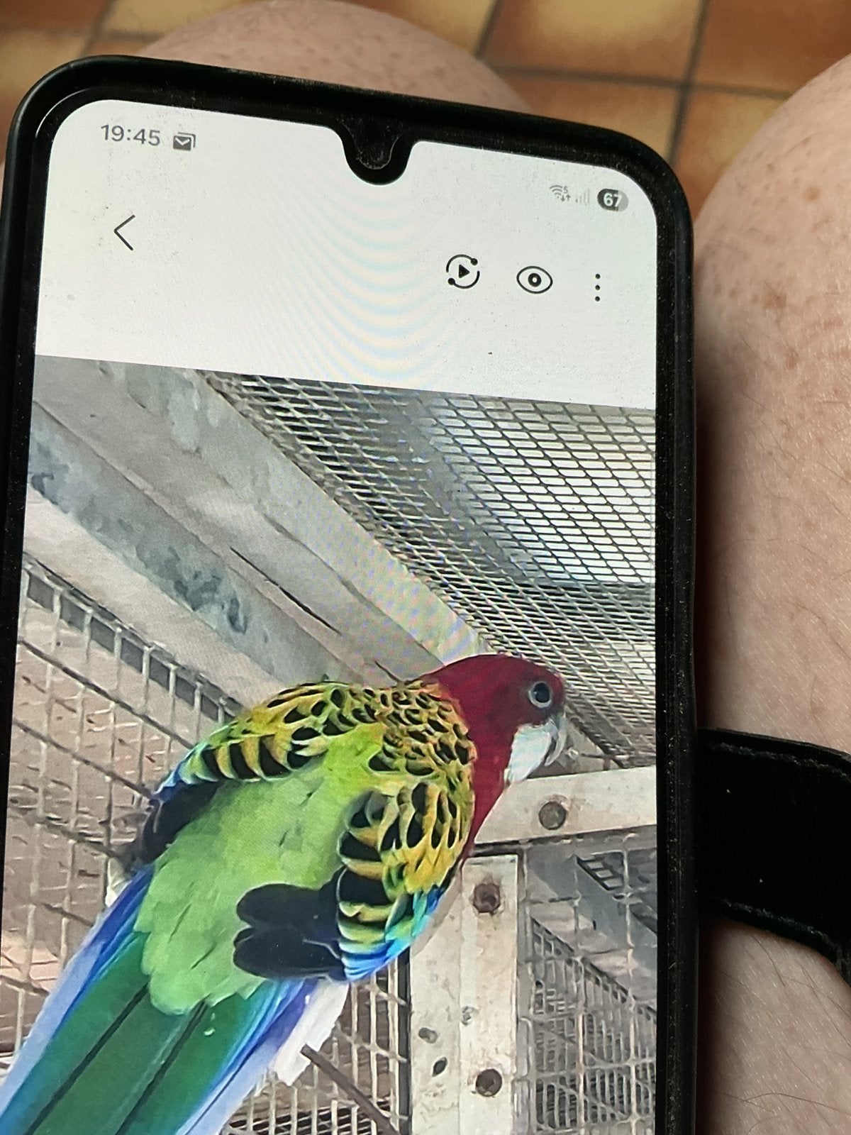 Rosellas, Télécoms, Téléphonie mobile | Huawei, Enlèvement, Comme neuf