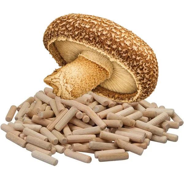 Shiitake deuvels voor paddenstoelenkweek –direct beschikbaar, Hobby en Vrije tijd, Ophalen of Verzenden