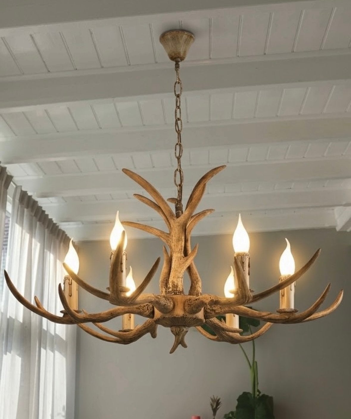 Herten Hoorn Kroonluchter – 6 Arm – Rustiek & Elegant, Envoi, Neuf