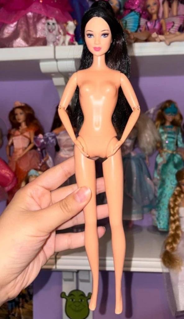 Blair barbie en de twaalf dansende prinsessen, Kinderen en Baby's, Speelgoed | Poppen, Ophalen of Verzenden, Zo goed als nieuw