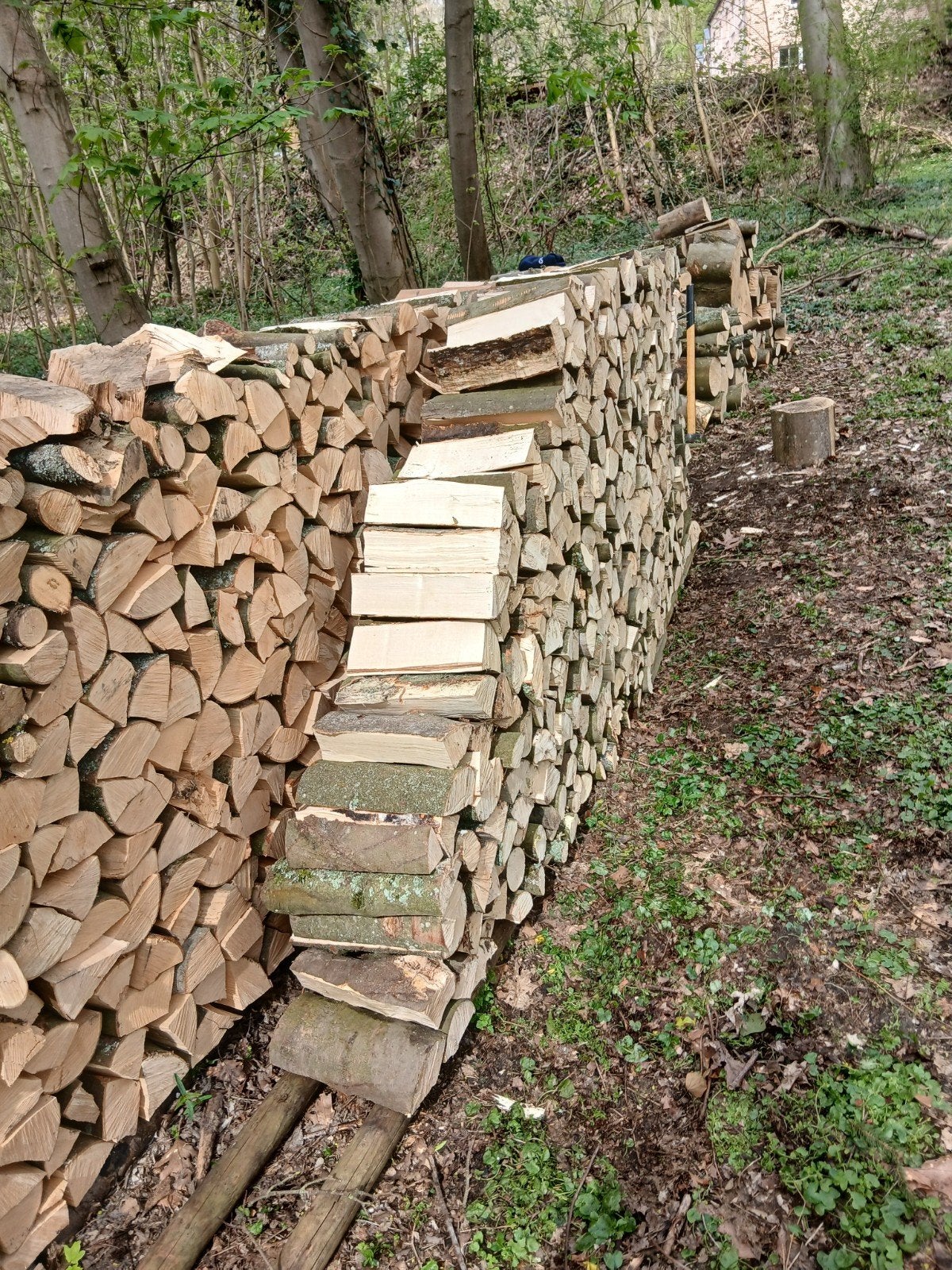 Bois de chauffage, Tuin en Terras, Brandhout