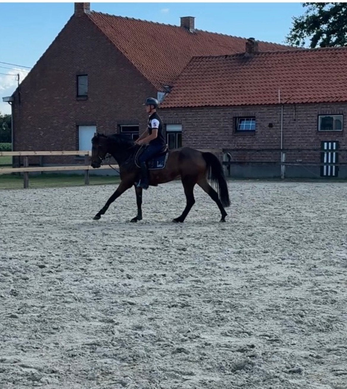 Leuke 5 jarige merrie, Tickets en Kaartjes