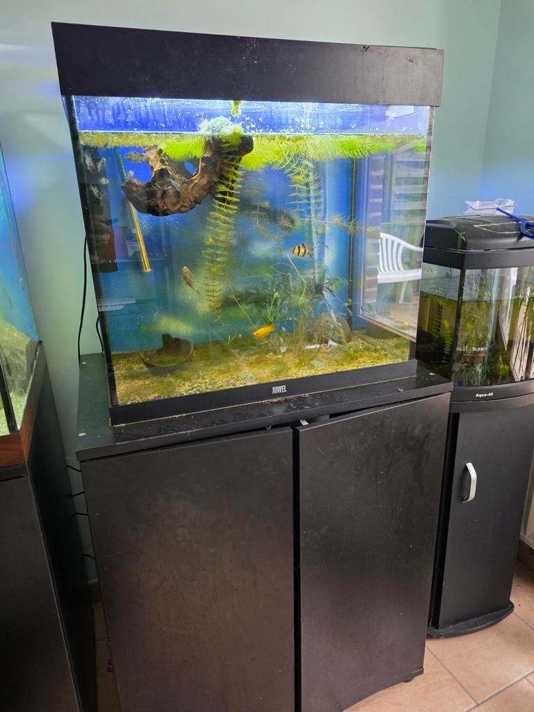 Aquarium 140L avec meuble, Dieren en Toebehoren, Ophalen, Verwarming