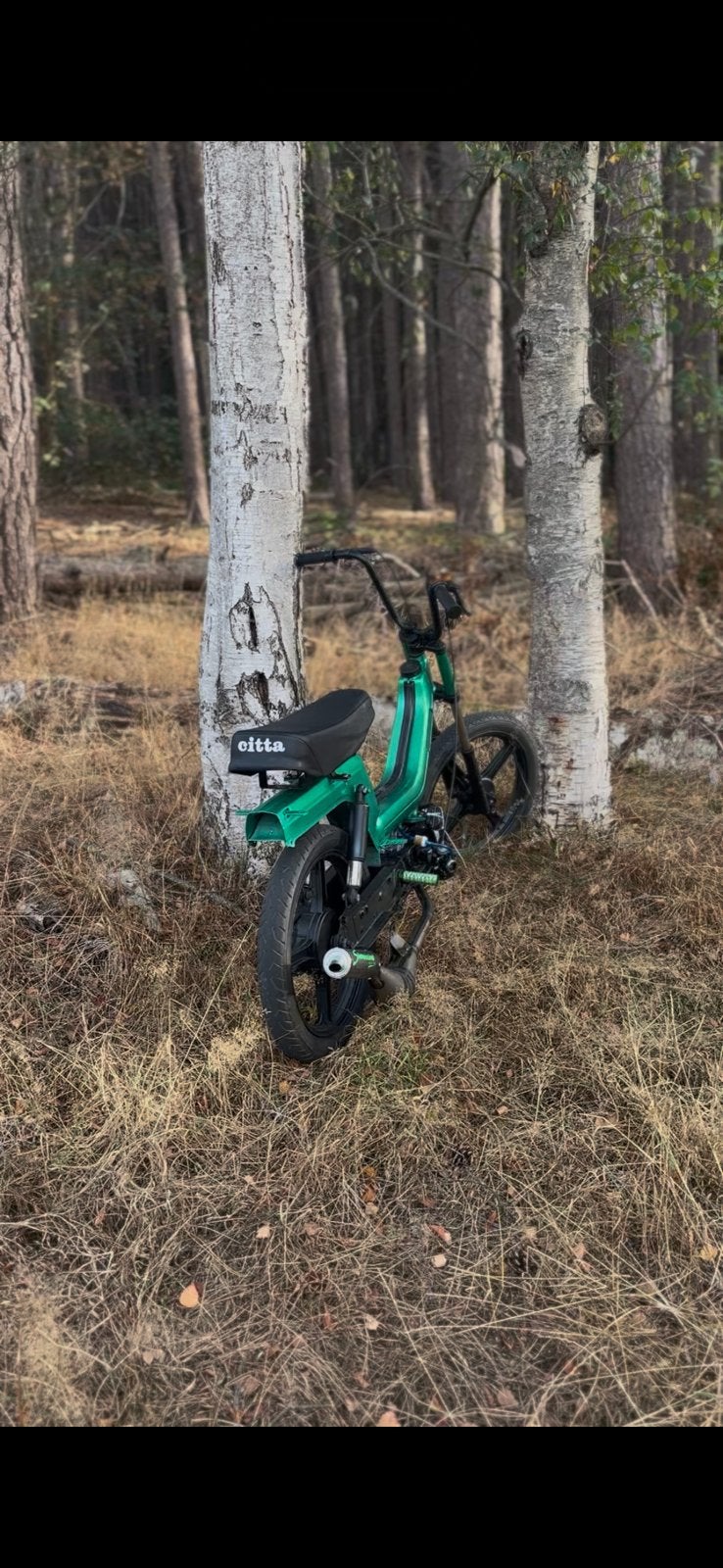 Piaggio vespa si, Autres modèles, Comme neuf, Classe B (45 km/h), Enlèvement