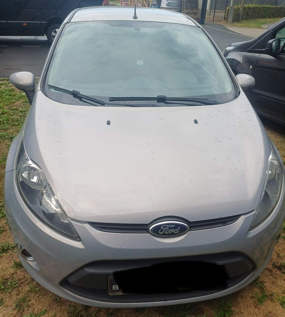 Ford fiesta metallic grijs