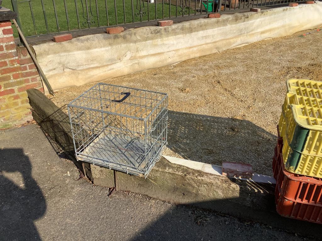 Cage pour chien, Animaux & Accessoires, Enlèvement, Comme neuf