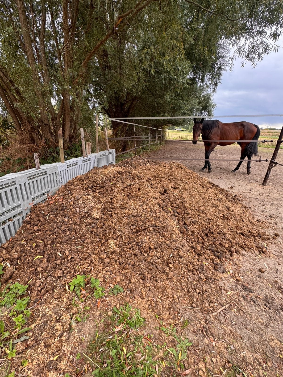Gratis paardenmest, Ophalen, Mest