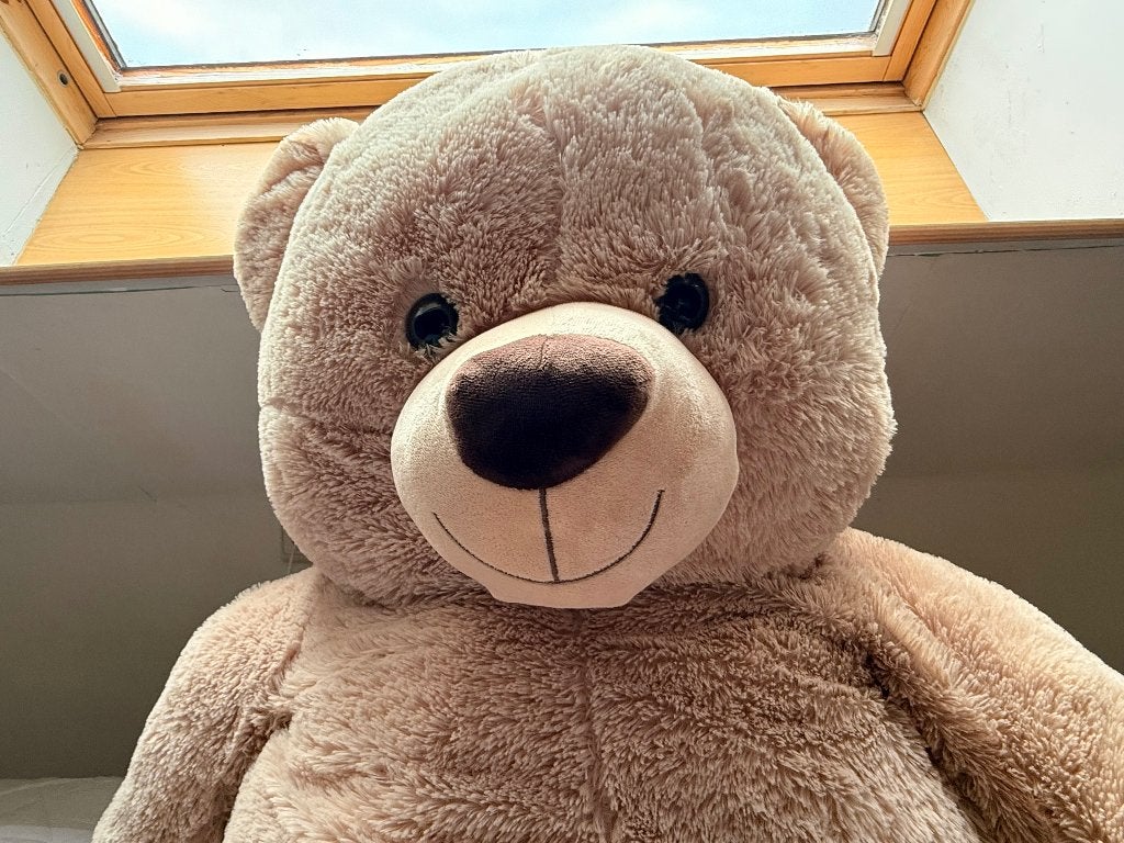 Grote pluchen teddybeer, Enlèvement, Comme neuf