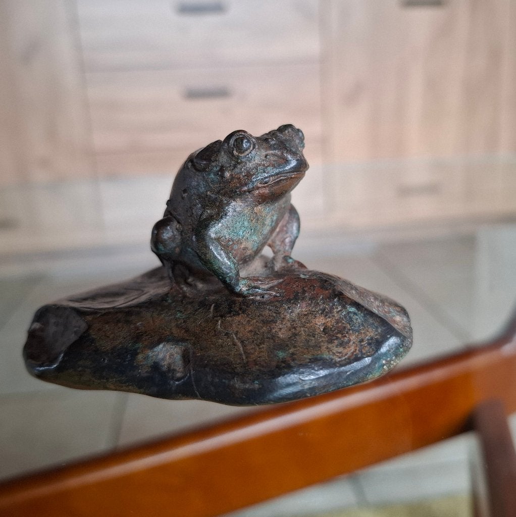 Origineel Bronzen Sculptuur Kikker op Rots — Pierre Chenet, Ophalen of Verzenden, Brons