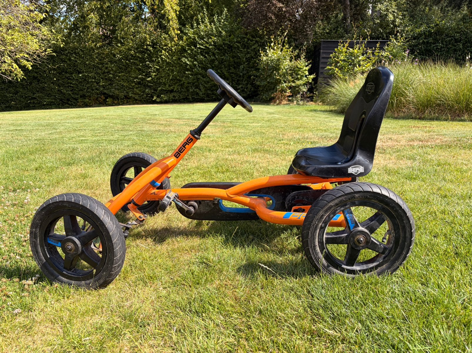BERG BUDDY GOCART, Enlèvement, Berg