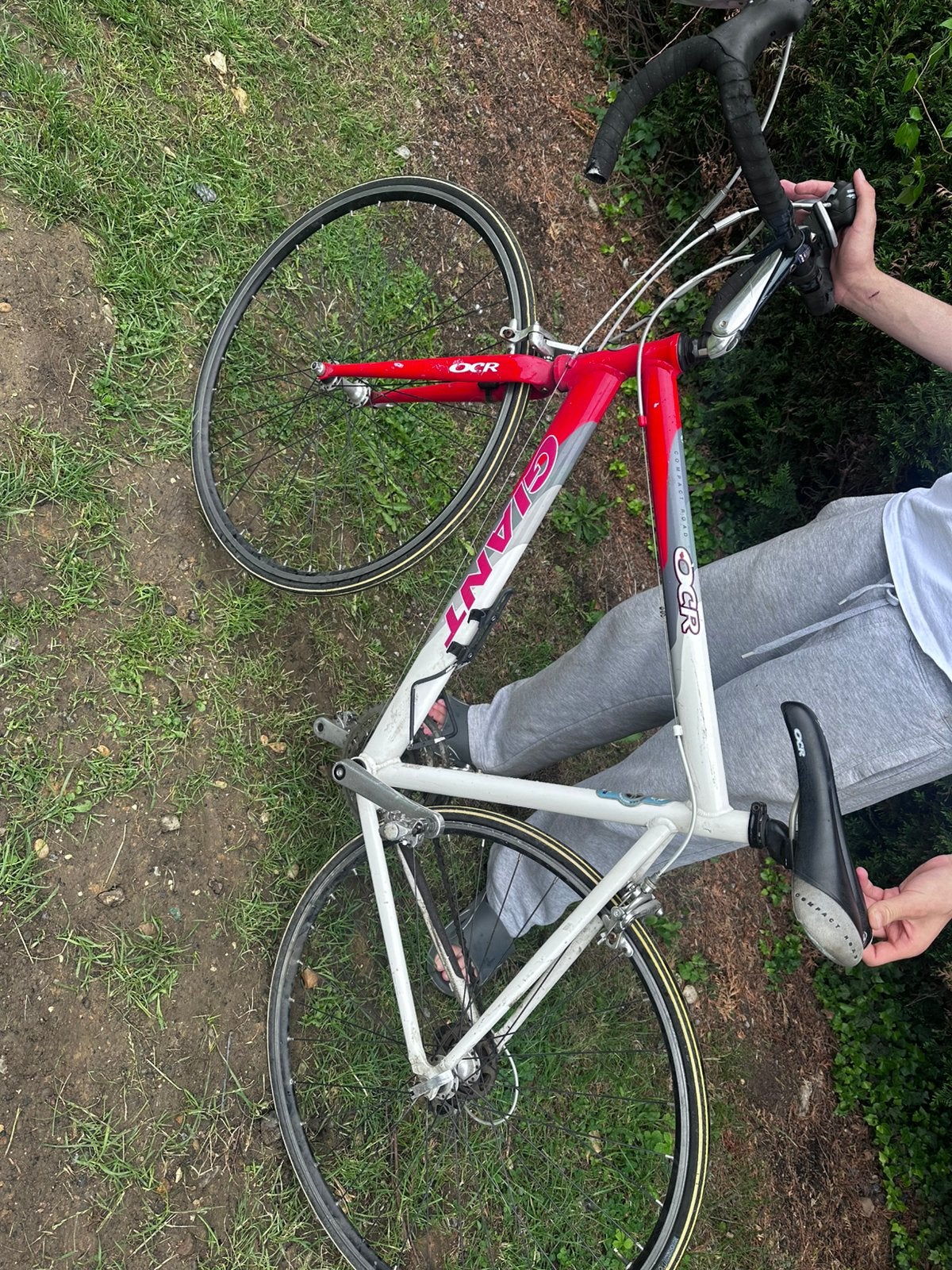 Giant velo, Fietsen en Brommers, Fietsen | Heren | Sportfietsen en Toerfietsen, Vering, 49 tot 53 cm, Minder dan 10 versnellingen