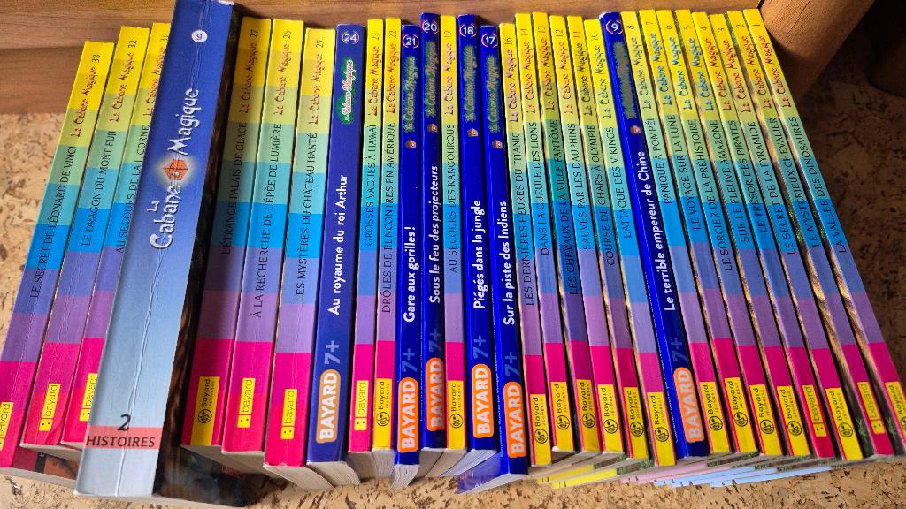 Lot livres la cabane magique, Enlèvement ou Envoi, Utilisé, Fiction général