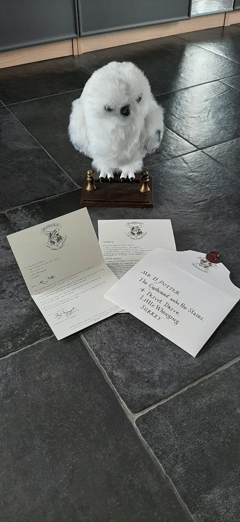 Hedwige d Harry Potter, Collections, Harry Potter, Enlèvement, Comme neuf, Figurine