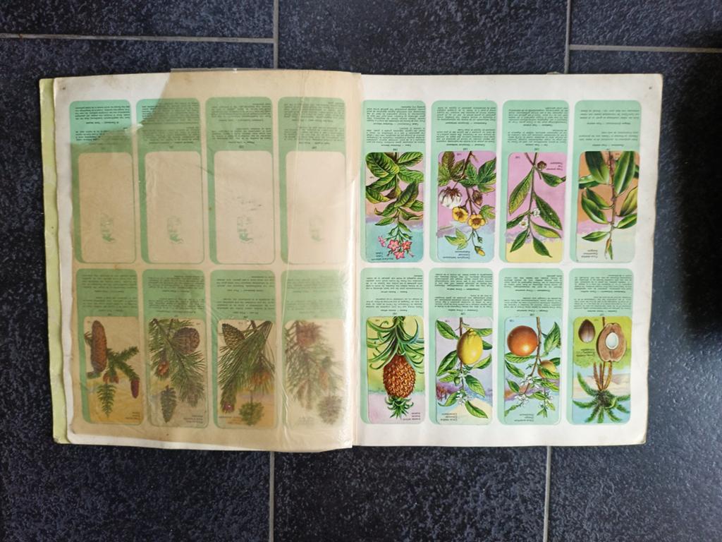 Oude Plakboek, Boeken, Prentenboeken en Plaatjesalbums, Ophalen