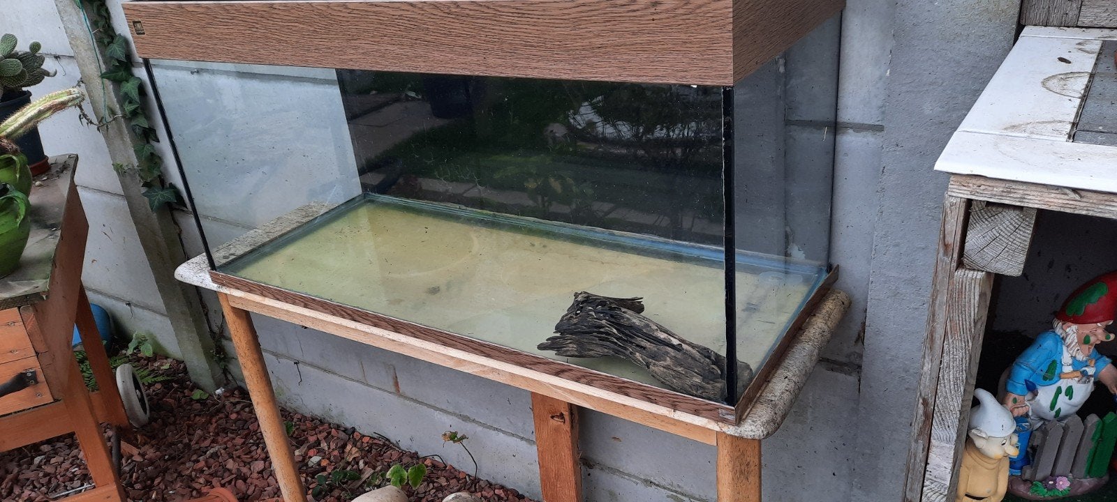 vis bak met verlichting, Dieren en Toebehoren, Ophalen of Verzenden